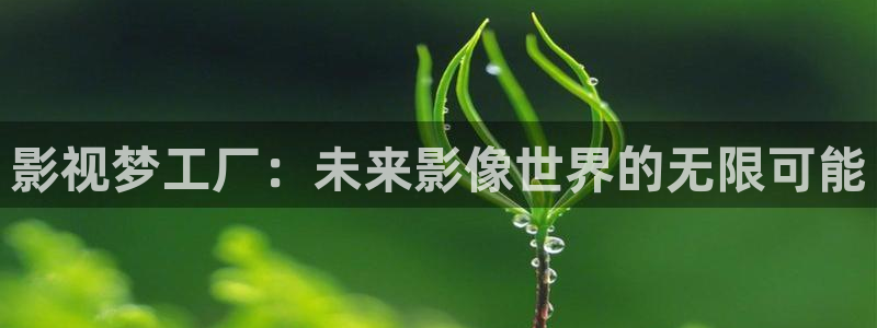 28268影院免费观看电视剧大全