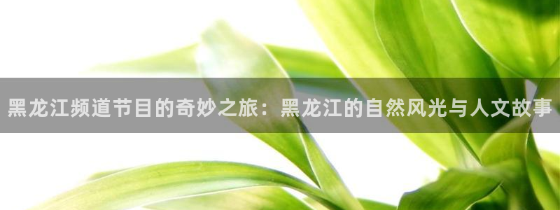 yy6680高清影院