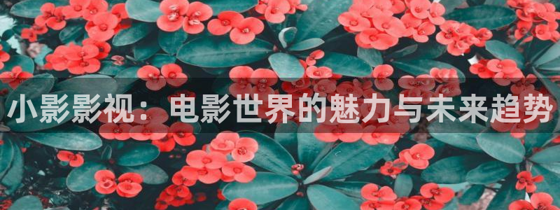 四虎影院168