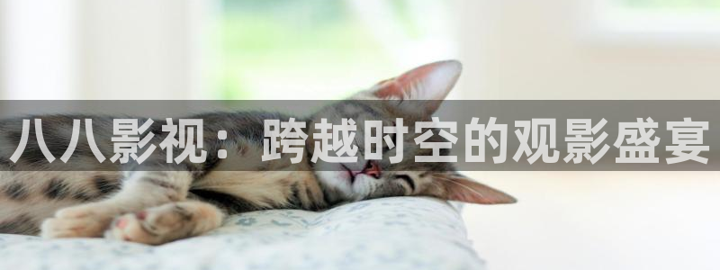 568影院：八八影视：跨越时空的观影盛宴