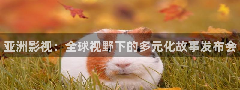 168电影网：亚洲影视：全球视野下的多元化故事发布会